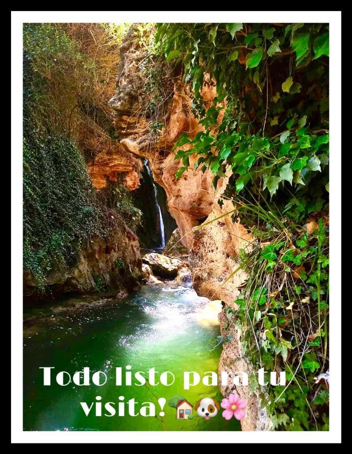 Apartamento Rural La Cascada De Calmarza Exteriör bild
